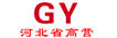 河北高营医药集团