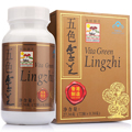 维特健灵 五色牌灵芝胶囊 0.38g*72粒